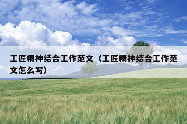 工匠精神结合工作范文(工匠精神结合工作范文怎么写)