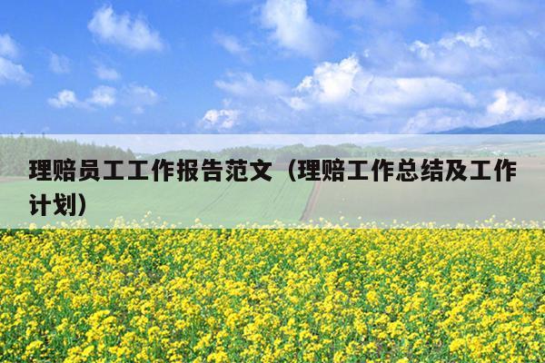 理赔员工工作报告范文(理赔工作总结及工作计划)