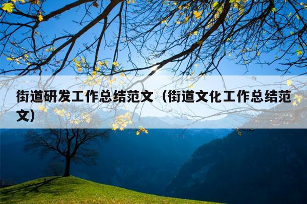 街道研发工作总结范文(街道文化工作总结范文)
