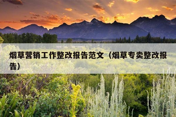 烟草营销工作整改报告范文(烟草专卖整改报告)