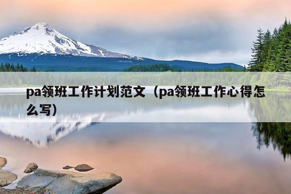 pa领班工作计划范文(pa领班工作心得怎么写)