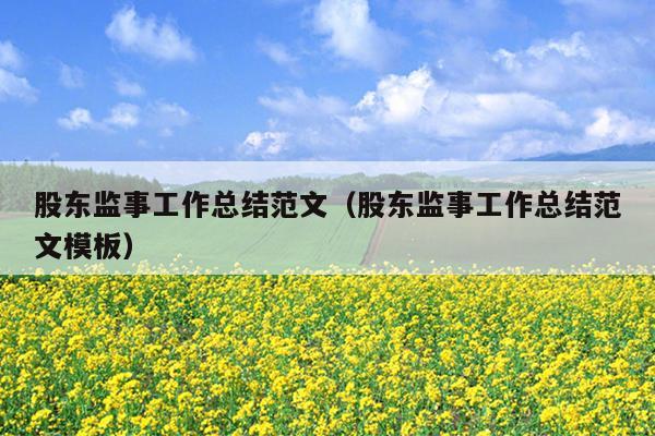 股东监事工作总结范文(股东监事工作总结范文模板)