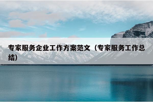 专家服务企业工作方案范文(专家服务工作总结)