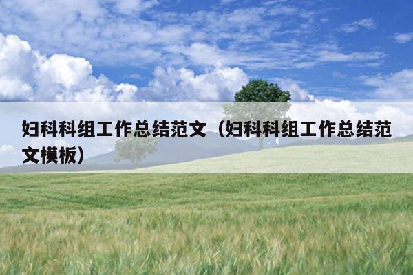 妇科科组工作总结范文(妇科科组工作总结范文模板)