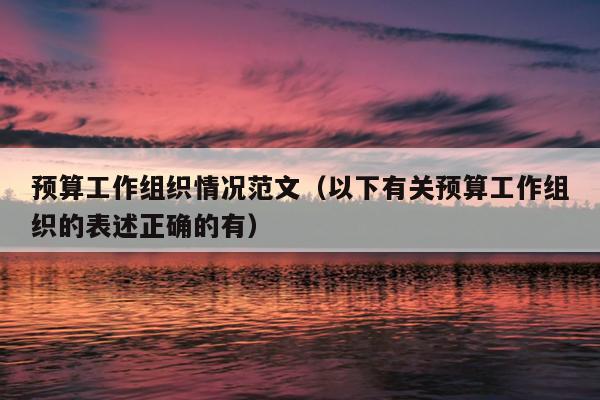 预算工作组织情况范文(以下有关预算工作组织的表述正确的有)