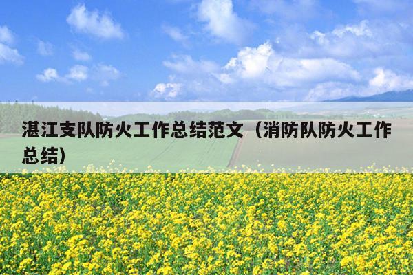 湛江支队防火工作总结范文(消防队防火工作总结)