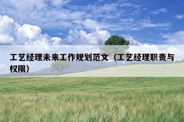 工艺经理未来工作规划范文(工艺经理职责与权限)