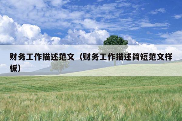 财务工作描述范文(财务工作描述简短范文样板)