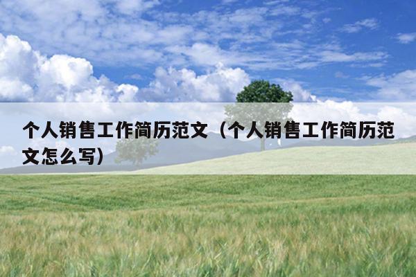 个人销售工作简历范文(个人销售工作简历范文怎么写)
