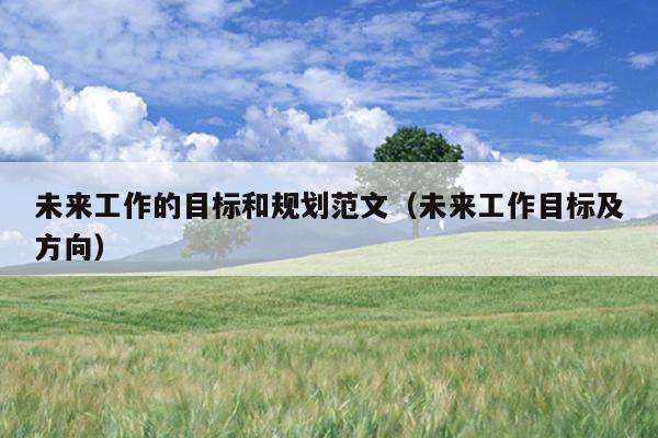未来工作的目标和规划范文(未来工作目标及方向)