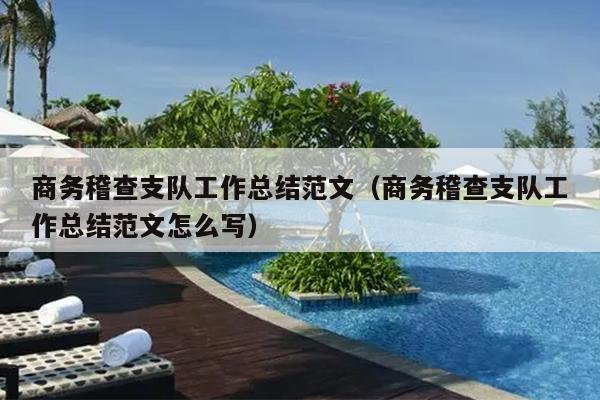 商务稽查支队工作总结范文(商务稽查支队工作总结范文怎么写)