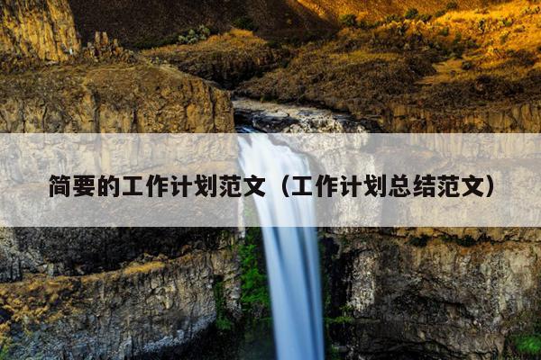 简要的工作计划范文(工作计划总结范文)