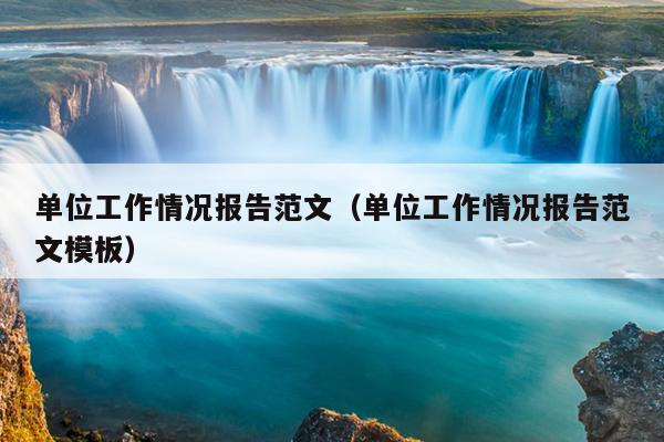 单位工作情况报告范文(单位工作情况报告范文模板)