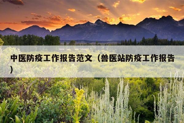 中医防疫工作报告范文(兽医站防疫工作报告)