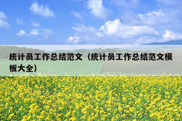 统计员工作总结范文(统计员工作总结范文模板大全)