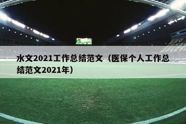 水文2021工作总结范文(医保个人工作总结范文2021年)