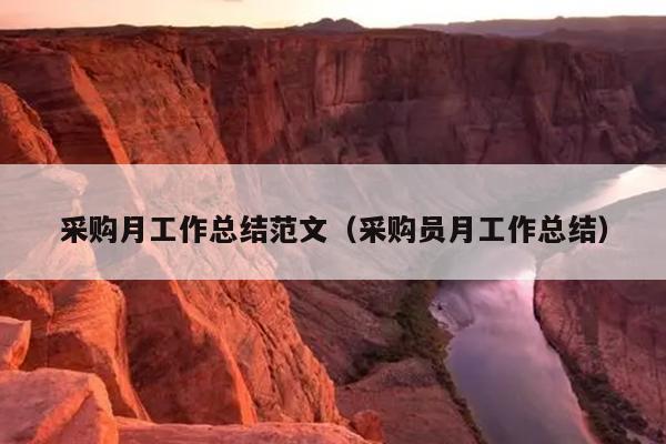 采购月工作总结范文(采购员月工作总结)