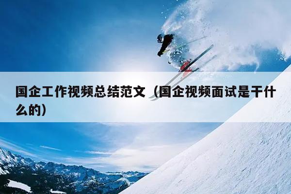 国企工作视频总结范文(国企视频面试是干什么的)