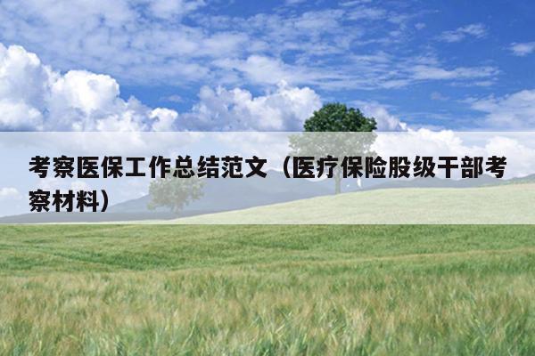 考察医保工作总结范文(医疗保险股级干部考察材料)