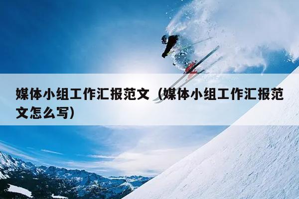 媒体小组工作汇报范文(媒体小组工作汇报范文怎么写)