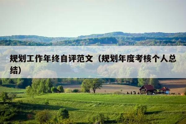 规划工作年终自评范文(规划年度考核个人总结)