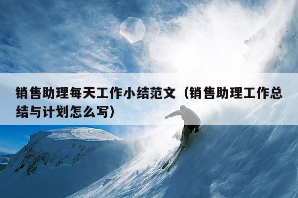 销售助理每天工作小结范文(销售助理工作总结与计划怎么写)