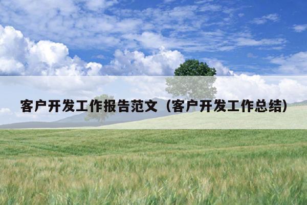 客户开发工作报告范文(客户开发工作总结)