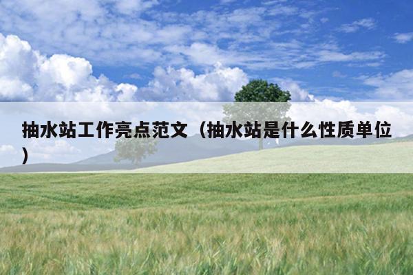 抽水站工作亮点范文(抽水站是什么性质单位)