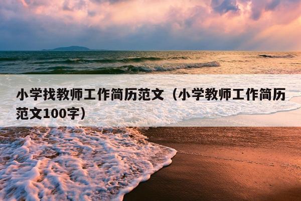 小学找教师工作简历范文(小学教师工作简历范文100字)