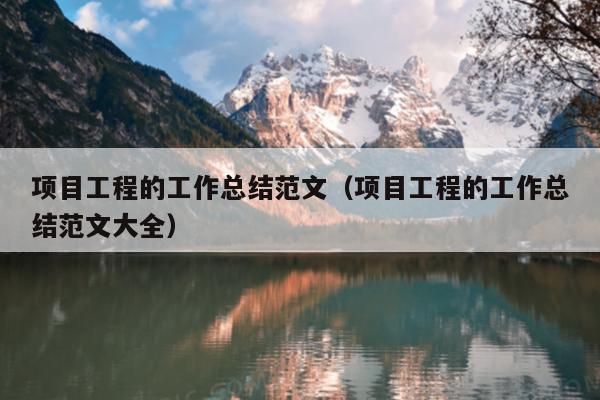项目工程的工作总结范文(项目工程的工作总结范文大全)
