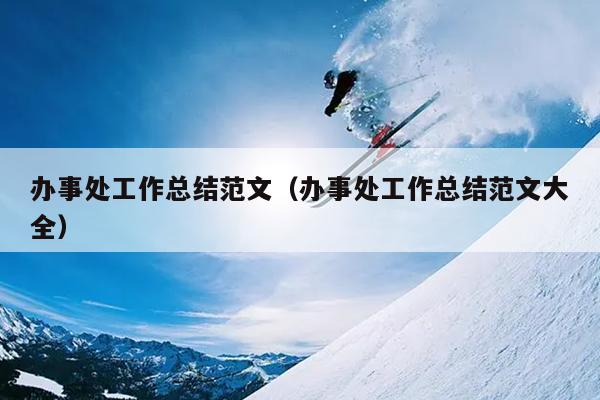 办事处工作总结范文(办事处工作总结范文大全)