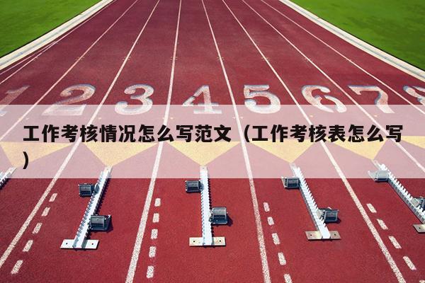 工作考核情况怎么写范文(工作考核表怎么写)