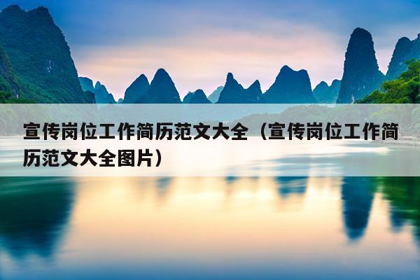 宣传岗位工作简历范文大全(宣传岗位工作简历范文大全图片)