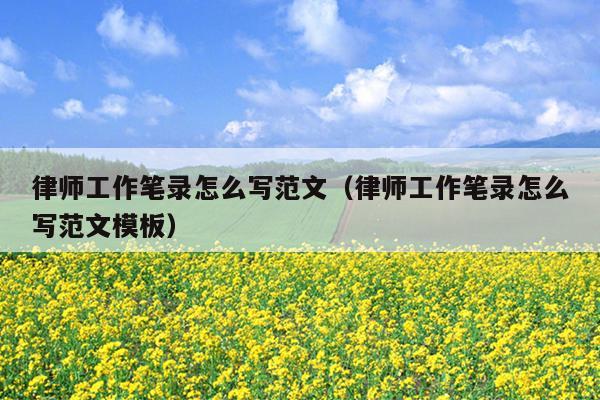 律师工作笔录怎么写范文(律师工作笔录怎么写范文模板)