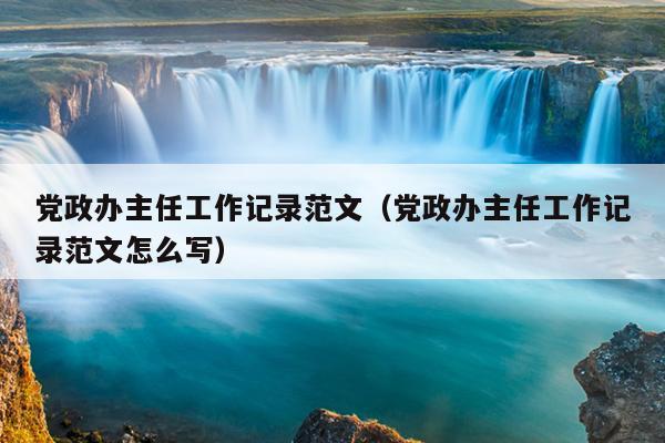 党政办主任工作记录范文(党政办主任工作记录范文怎么写)