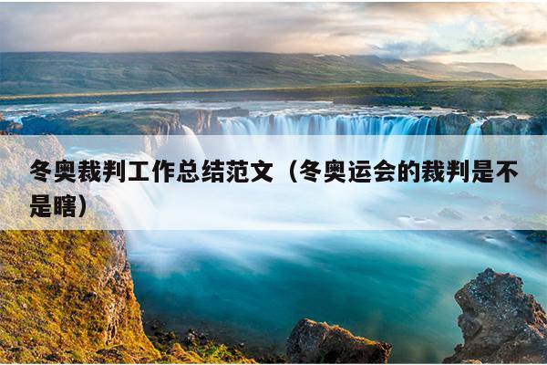 冬奥裁判工作总结范文(冬奥运会的裁判是不是瞎)