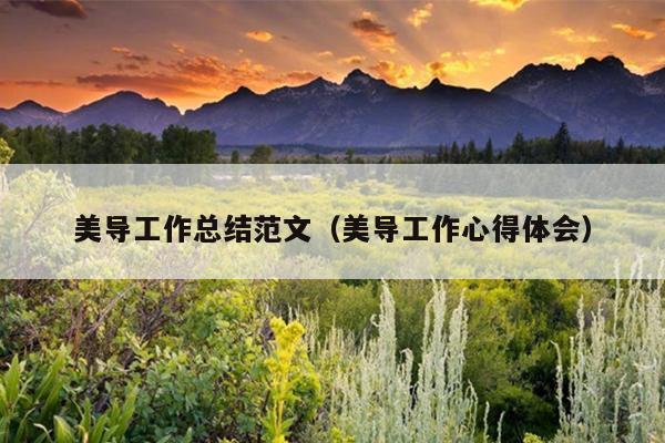 美导工作总结范文(美导工作心得体会)