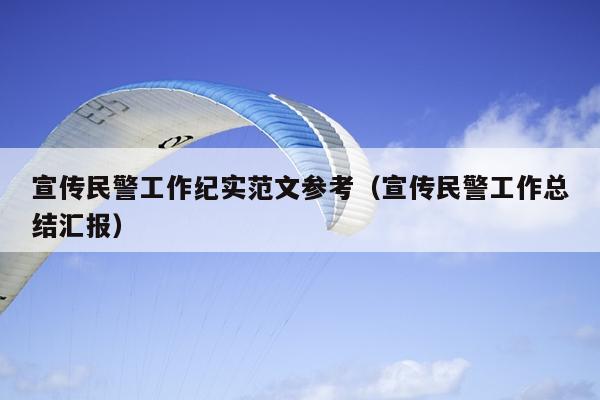 宣传民警工作纪实范文参考(宣传民警工作总结汇报)