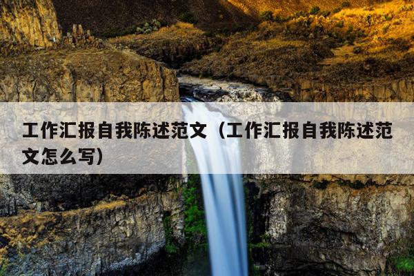 工作汇报自我陈述范文(工作汇报自我陈述范文怎么写)