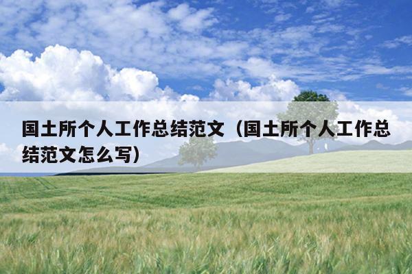 国土所个人工作总结范文(国土所个人工作总结范文怎么写)