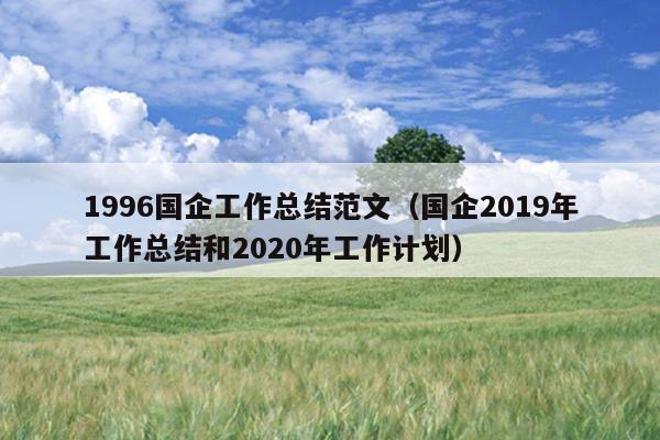 1996国企工作总结范文(国企2019年工作总结和2020年工作计划)