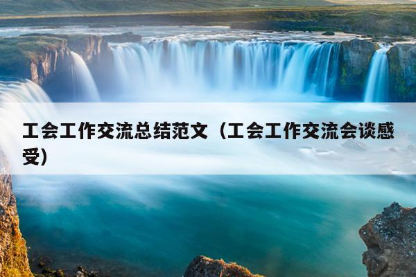 工会工作交流总结范文(工会工作交流会谈感受)