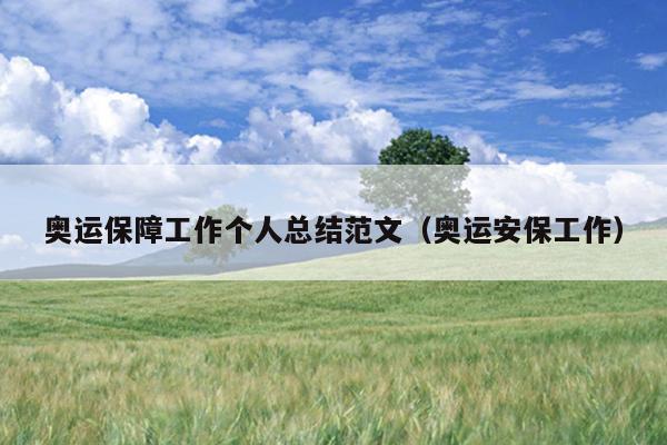 奥运保障工作个人总结范文(奥运安保工作)