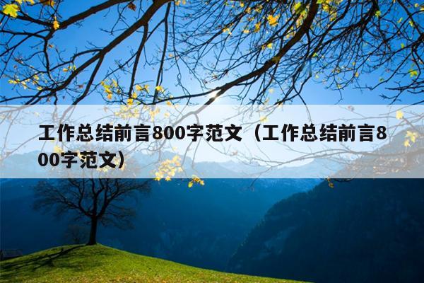 工作总结前言800字范文(工作总结前言800字范文)