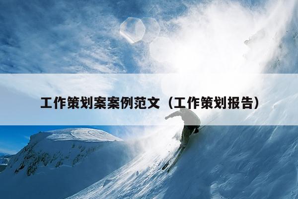 工作策划案案例范文(工作策划报告)