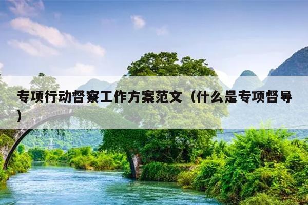 专项行动督察工作方案范文(什么是专项督导)