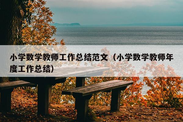 小学数学教师工作总结范文(小学数学教师年度工作总结)