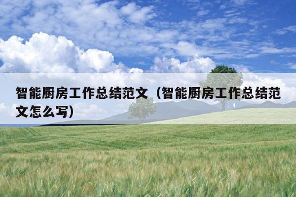 智能厨房工作总结范文(智能厨房工作总结范文怎么写)