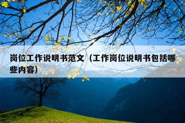 岗位工作说明书范文(工作岗位说明书包括哪些内容)