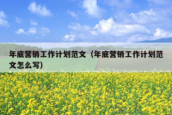 年底营销工作计划范文(年底营销工作计划范文怎么写)